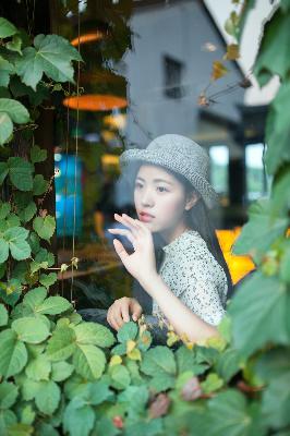 最新电视剧排行榜